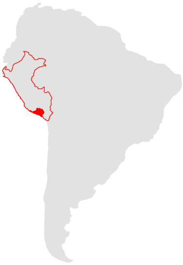 icono de mapa sudamerica