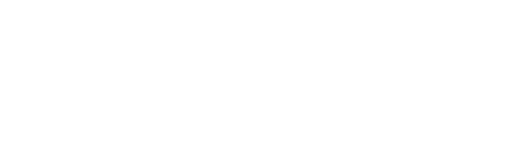 Logo Transportes kala